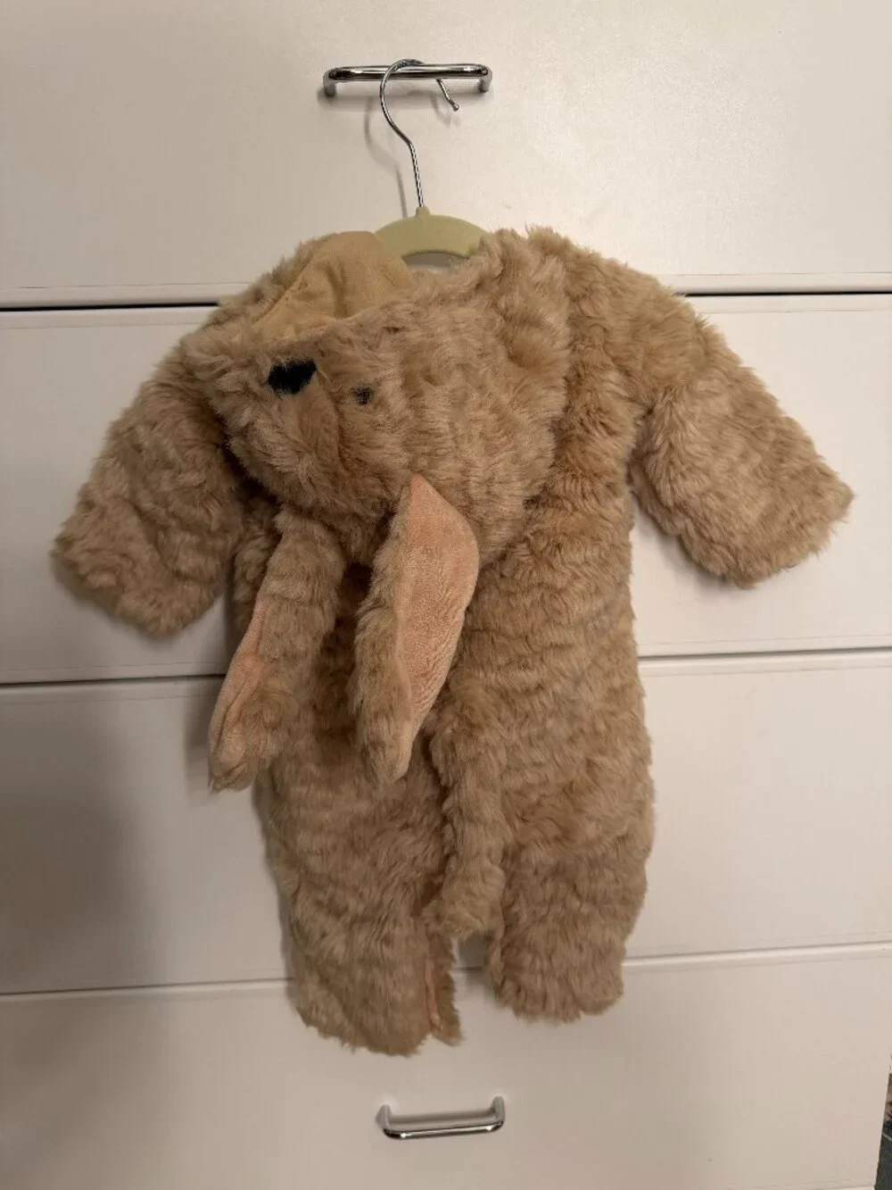 Pottery Barn Kids Baby Labradoodle Dog Halloween Costume 2024, Size 0-6m - Picture 4 of 10